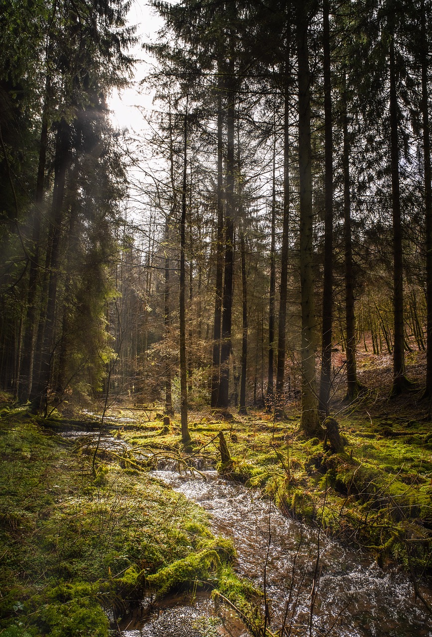 Wandern in Eberswalde
