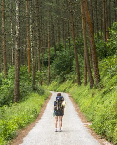 Wandern im Wald